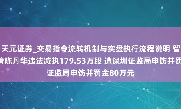 天元证券_交易指令流转机制与实盘执行流程说明 智能源前高管陈丹华违法减执179.53万股 遭深圳证监局申饬并罚金80万元