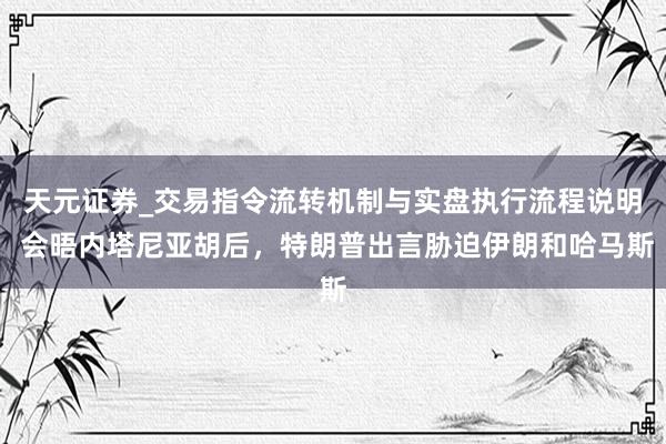 天元证券_交易指令流转机制与实盘执行流程说明 会晤内塔尼亚胡后，特朗普出言胁迫伊朗和哈马斯