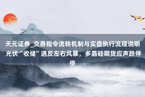 天元证券_交易指令流转机制与实盘执行流程说明 光伏“收储”遇反左右风暴，多晶硅期货应声跌停