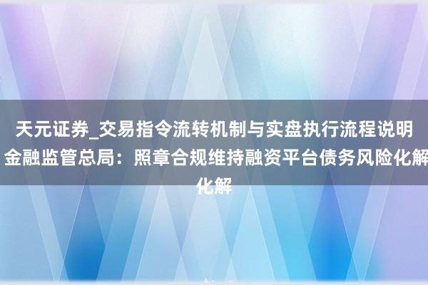 天元证券_交易指令流转机制与实盘执行流程说明 金融监管总局：照章合规维持融资平台债务风险化解