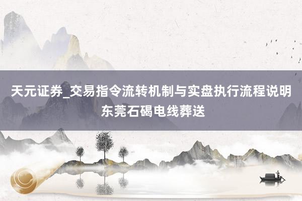 天元证券_交易指令流转机制与实盘执行流程说明 东莞石碣电线葬送