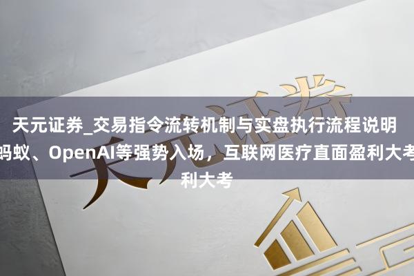 天元证券_交易指令流转机制与实盘执行流程说明 蚂蚁、OpenAI等强势入场，互联网医疗直面盈利大考