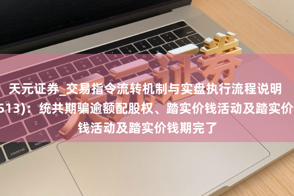 天元证券_交易指令流转机制与实盘执行流程说明 智谱(02513)：统共期骗逾额配股权、踏实价钱活动及踏实价钱期完了