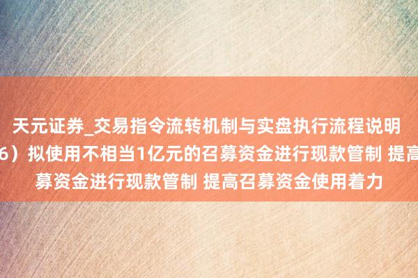 天元证券_交易指令流转机制与实盘执行流程说明 国亮新材（920076）拟使用不相当1亿元的召募资金进行现款管制 提高召募资金使用着力