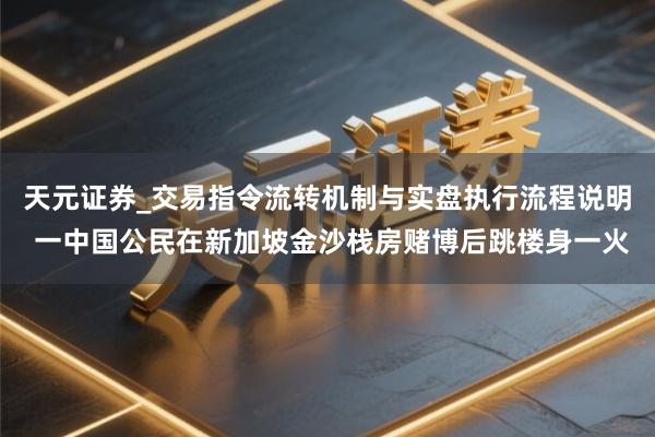 天元证券_交易指令流转机制与实盘执行流程说明 一中国公民在新加坡金沙栈房赌博后跳楼身一火