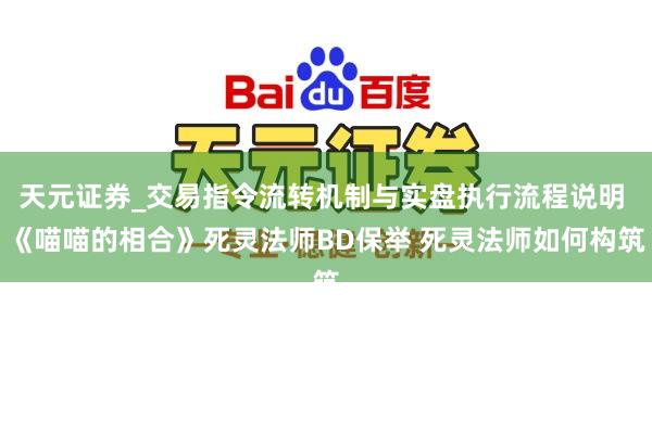 天元证券_交易指令流转机制与实盘执行流程说明 《喵喵的相合》死灵法师BD保举 死灵法师如何构筑